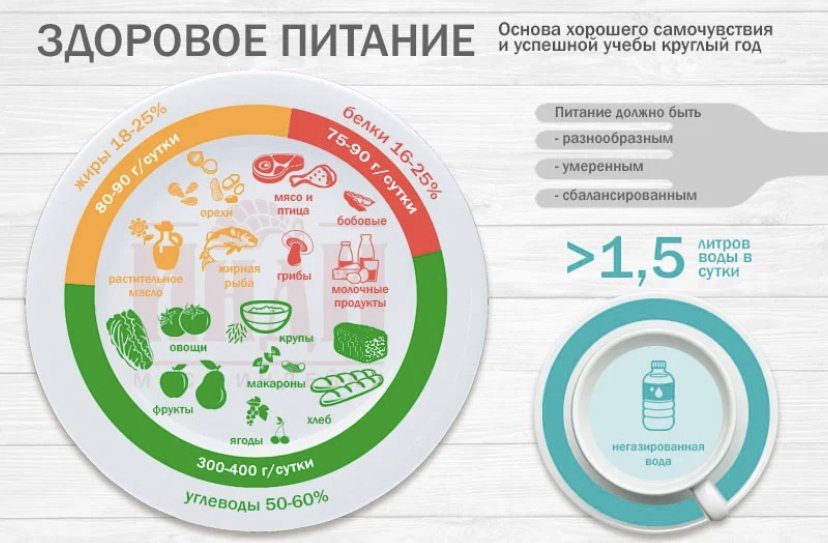 Обучение питание новосибирский. Тарелка правильного питания для школьников. Здоровое питание инфографика. Правильное питание инфографика. Правильное питание в инфографике.